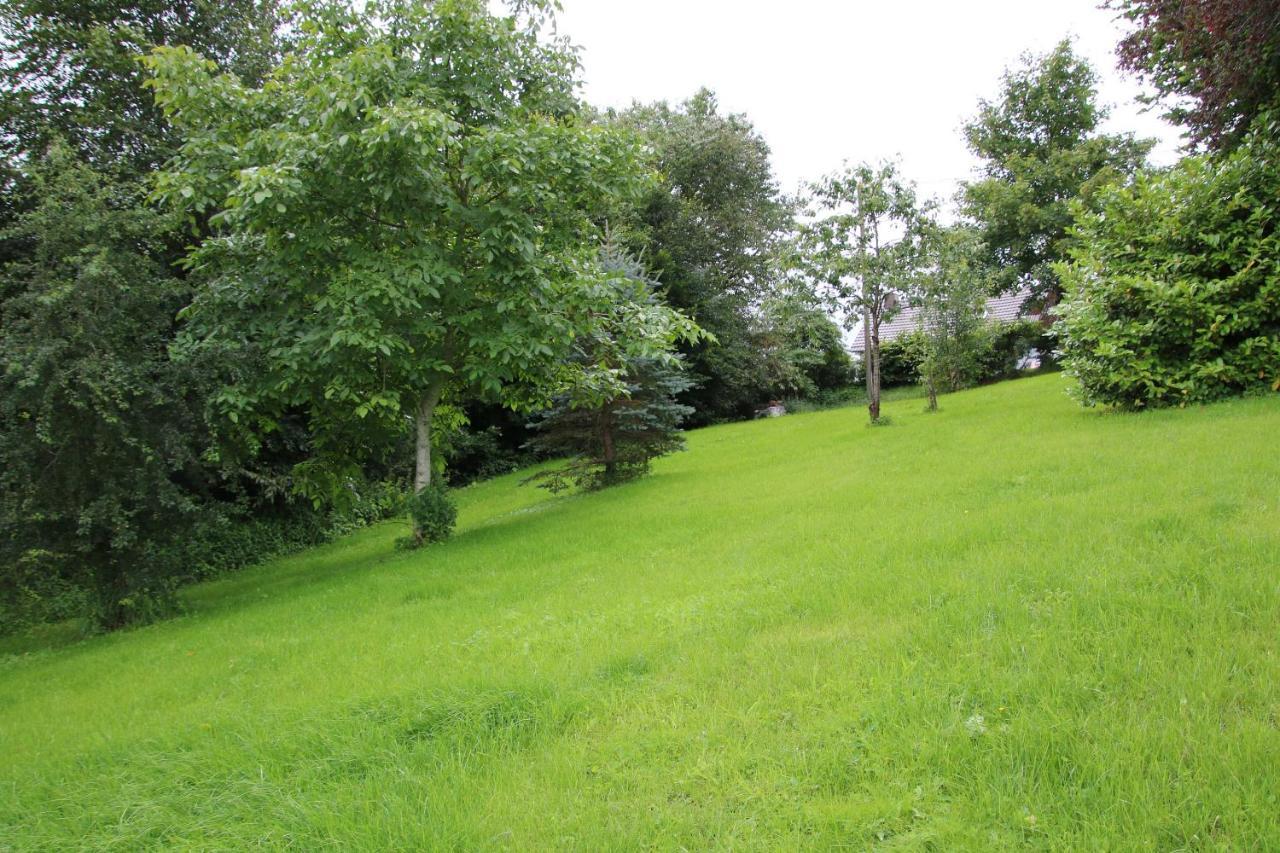 Ferienhaus Eifelnest Scheid  Exterior photo